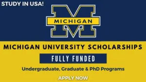 Michigan MBA application